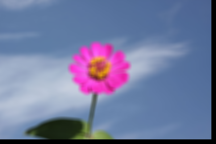 flower after gaussian blur