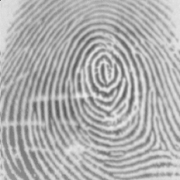 Input Grayscaled Fingerprint